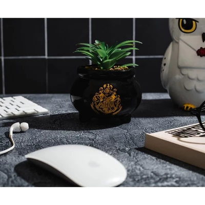Silver Buffalo Harry Potter Hogwarts Cauldron Ceramic Mini Planter With Artificial Succulent 5 Silver Buffalo Harry Potter Hogwarts Cauldron Ceramic Mini Planter With Artificial Succulent - Image 3