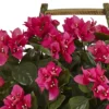 20" X 18" Artificial Bougainvillea Flowering Plant In Rustic Wood Planter Pink -Nearly Natural -Artificial Flowers Sale GUEST 9f658a92 b2f7 44f6 897d 2c0b57c16006