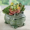 Collections Etc Charming Frog Planter With Artificial Succulents 6 X 5 X 4.5 1 Collections Etc Charming Frog Planter With Artificial Succulents 6 X 5 X 4.5 -Artificial Flowers Sale GUEST a2796d20 c75f 411d bbb4 1486d1fd10f9