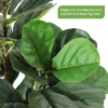 Whizmax Artificial Fiddle Leaf Fig Tree - Tall Faux Plant In White Planter, Realistic Greenery For Home & Office Decor, Fake Indoor Tree 1 Whizmax Artificial Fiddle Leaf Fig Tree - Tall Faux Plant In White Planter, Realistic Greenery For Home & Office Decor, Fake Indoor Tree -Artificial Flowers Sale GUEST a2c49058 8908 477c b568 9d900a840a6b