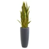 Nearly Natural 4.5-ft Artificial Sansevieria Snake Plant In Gray Planter 2 Nearly Natural 4.5-ft Artificial Sansevieria Snake Plant In Gray Planter -Artificial Flowers Sale GUEST a2ff45d2 3507 4999 8684 6f7b5304263b