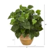 Nearly Natural 14-in Pothos Artificial Plant In Ceramic Planter 2 Nearly Natural 14-in Pothos Artificial Plant In Ceramic Planter -Artificial Flowers Sale GUEST a611298e 0292 4fa8 9aa4 cfc2b18116cd