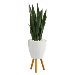 Nearly Natural 4-ft Artificial Sansevieria Snake Plant In White Planter With Stand 7 Nearly Natural 4-ft Artificial Sansevieria Snake Plant In White Planter With Stand -Artificial Flowers Sale GUEST ab125e48 1951 46c2 bc29 2623406e71e7