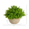 Nearly Natural 5-in Boxwood Artificial Plant In Decorative Planter 1 Nearly Natural 5-in Boxwood Artificial Plant In Decorative Planter -Artificial Flowers Sale GUEST ab3a2264 2ad3 4835 b828 2acc59202906