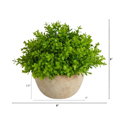 Nearly Natural 5-in Boxwood Artificial Plant In Decorative Planter 3 Nearly Natural 5-in Boxwood Artificial Plant In Decorative Planter