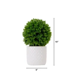Nearly Natural 10-in Artificial Boxwood Topiary Plant With Decorative Planter 8 Nearly Natural 10-in Artificial Boxwood Topiary Plant With Decorative Planter -Artificial Flowers Sale GUEST acee93a7 3ab4 4157 b263 9601ba64266a