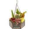 D'Eco Glass Geometric DIY Terrarium, Succulent & Air Plant- Hanging Mini Hexagon Shaped For Indoor Gardening Decor- Create Your Own Centerpiece -Artificial Flowers Sale GUEST ad80de99 cf1a 45bf bdbf d5da5e5d7efa