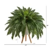Nearly Natural 2.5-ft Boston Fern Artificial Plant In White Planter With Legs 2 Nearly Natural 2.5-ft Boston Fern Artificial Plant In White Planter With Legs -Artificial Flowers Sale GUEST b0fb2965 9487 4e20 a953 524579122c09