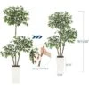 Artificial Ficus Tree, Tall Faux Plant With White Tall Planter, Faux Greenery Tree With Natural Trunks & White-Edged Leaves For Home Decor 2 Artificial Ficus Tree, Tall Faux Plant With White Tall Planter, Faux Greenery Tree With Natural Trunks & White-Edged Leaves For Home Decor -Artificial Flowers Sale GUEST b426212f 0235 4a86 9499 efa914811106