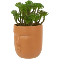 Northlight 5.5" Mini Artificial Succulent In Face Planter Pot 10 Northlight 5.5" Mini Artificial Succulent In Face Planter Pot -Artificial Flowers Sale GUEST bb4aa3e4 9db6 4432 b405 eff5c564a597