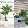 5ft Artificial Palm Tree In White Planter Faux Tropical Plant For Indoor Outdoor Office House Decor With 2 Trunks -Artificial Flowers Sale GUEST bc271ad0 3625 4a04 9e21 88ce0eebbb09
