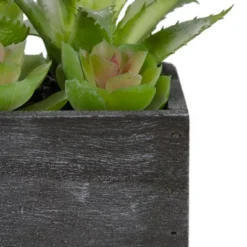 Northlight 10" Artificial Mixed Succulent Plants In A Rectangular Planter 9 Northlight 10" Artificial Mixed Succulent Plants In A Rectangular Planter -Artificial Flowers Sale GUEST be6fa5e7 6760 48ab a8b5 3879443f26af