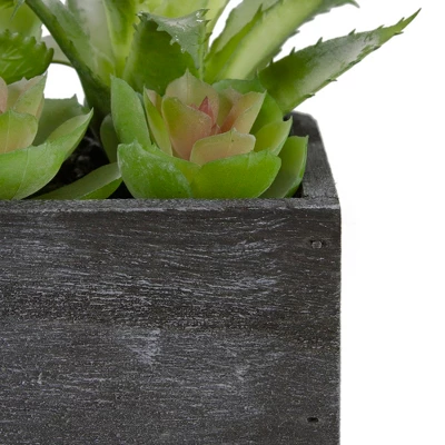 Northlight 10" Artificial Mixed Succulent Plants In A Rectangular Planter 6 Northlight 10" Artificial Mixed Succulent Plants In A Rectangular Planter - Image 4