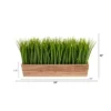 Nearly Natural 20-in Vanilla Grass Artificial Plant In Decorative Planter 1 Nearly Natural 20-in Vanilla Grass Artificial Plant In Decorative Planter -Artificial Flowers Sale GUEST be89b18d faa8 44a8 acfd ea76f8d16a60