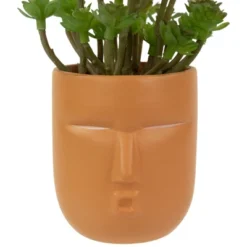 Northlight 5.5" Mini Artificial Succulent In Face Planter Pot 9 Northlight 5.5" Mini Artificial Succulent In Face Planter Pot -Artificial Flowers Sale GUEST c1f98d74 5ae9 4df7 a367 866022fcc6ce