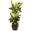 Nearly Natural 45-in Golden Dieffenbachia W/Decorative Planter 2 Nearly Natural 45-in Golden Dieffenbachia W/Decorative Planter -Artificial Flowers Sale GUEST c2b65d8c 5a75 41ec a2f2 401f9c5998b6