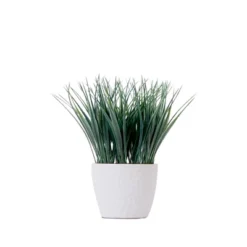 Nearly Natural 9-in Artificial Grass Plant With Decorative Planter 11 Nearly Natural 9-in Artificial Grass Plant With Decorative Planter -Artificial Flowers Sale GUEST c46065a0 b1c0 45a1 a28b 558cd9998ebc