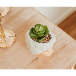 Silver Buffalo The Golden Girls Dorothy 3-Inch Ceramic Mini Planter With Artificial Succulent 10 Silver Buffalo The Golden Girls Dorothy 3-Inch Ceramic Mini Planter With Artificial Succulent -Artificial Flowers Sale GUEST c6457927 0bfc 4ba4 ad47 f70d019772f9