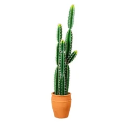 Nearly Natural 5-ft Artificial Cactus In Terracotta Planter 15 Nearly Natural 5-ft Artificial Cactus In Terracotta Planter -Artificial Flowers Sale GUEST c8286775 5fa6 4da6 b661 ebbfabc4a81d