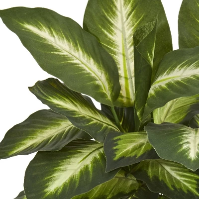 18" X 16" Artificial Dieffenbachia Plant In Ceramic Planter - Nearly Natural 3 18" X 16" Artificial Dieffenbachia Plant In Ceramic Planter - Nearly Natural