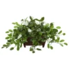 Nearly Natural 14-in Mix Stephanotis Artificial Plant In Decorative Planter 2 Nearly Natural 14-in Mix Stephanotis Artificial Plant In Decorative Planter -Artificial Flowers Sale GUEST d2ef8ca0 7883 4916 a879 7eaf92159cb4