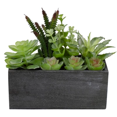 Northlight 10" Artificial Mixed Succulent Plants In A Rectangular Planter 5 Northlight 10" Artificial Mixed Succulent Plants In A Rectangular Planter - Image 3