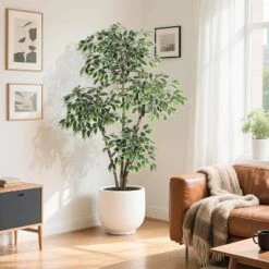 Artificial Ficus Tree, Tall Faux Plant With White Tall Planter, Faux Greenery Tree With Natural Trunks & White-Edged Leaves For Home Decor -Artificial Flowers Sale GUEST e4a29669 18b0 419b b69d 47978b6754e9