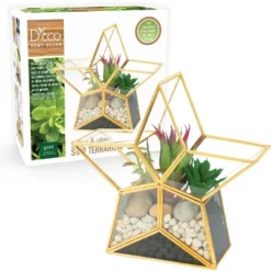D'Eco Glass Star Terrarium- Tabletop Geometric Planter- Succulents, Moss & More- Home Garden Office Decor- Gift For Mother's Day (Terrarium Only) -Artificial Flowers Sale GUEST e4ee1efa 2265 4a2a 901b ef5a6243b971