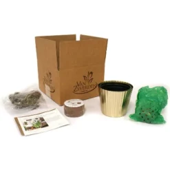 Narcissus Kit Ziva Paperwhite Bulb With Fluted Iron Faux Brass Finish Planter - Van Zyverden 7 Narcissus Kit Ziva Paperwhite Bulb With Fluted Iron Faux Brass Finish Planter - Van Zyverden -Artificial Flowers Sale GUEST e74fa386 8e7c 42f4 a2ee ca057091d5e5