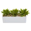 Agave Succulent In Rectangular Planter - Nearly Natural 1 Agave Succulent In Rectangular Planter - Nearly Natural -Artificial Flowers Sale GUEST ed0a21c0 3412 41e6 a0d6 4aff9c2a655e