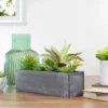 Northlight 12" Artificial Mixed Succulent Plants In A Rectangular Planter 1 Northlight 12" Artificial Mixed Succulent Plants In A Rectangular Planter -Artificial Flowers Sale GUEST f28e1d0e 36c7 4ef0 b83e 36f0cbce8489