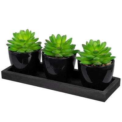 Northlight Mini Artificial Potted Succulents With Wood Planter - 5" - Set Of 3 4 Northlight Mini Artificial Potted Succulents With Wood Planter - 5" - Set Of 3 - Image 2