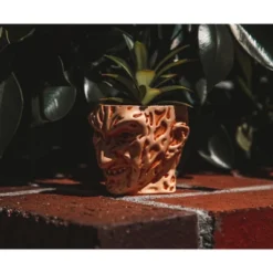Silver Buffalo A Nightmare On Elm Street Freddy Krueger Ceramic Planter W/ Artificial Succulent 11 Silver Buffalo A Nightmare On Elm Street Freddy Krueger Ceramic Planter W/ Artificial Succulent -Artificial Flowers Sale GUEST f55fd365 4ccc 4ab7 8973 d442fed50b23