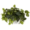 Nearly Natural 14-in Pothos W/White Wash Planter Silk Plant 1 Nearly Natural 14-in Pothos W/White Wash Planter Silk Plant -Artificial Flowers Sale GUEST f813e5e0 ada9 444e 9fea b9d2380b7943