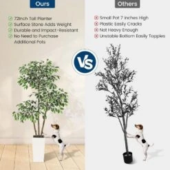 Artificial Ficus Tree, Tall Faux Plant With White Tall Planter, Faux Greenery Tree With Natural Trunks & White-Edged Leaves For Home Decor -Artificial Flowers Sale GUEST f901f6b6 e82b 4fa3 b697 ba232ff5bfa4